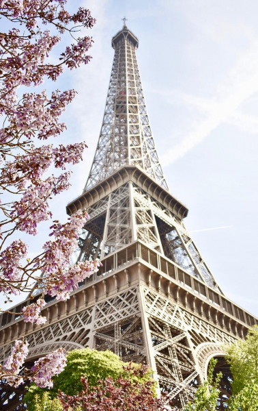 Самые известные достопримечательности мира: горячая двадцатка