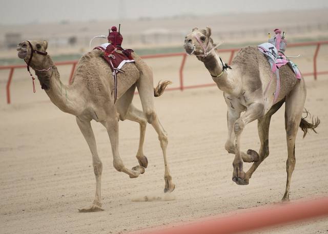 Удивительные факты о Дубае