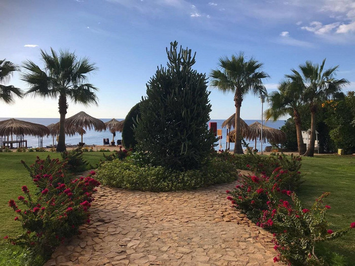 «Веселые египтяне, адекватные туристы»: россиянка делится восторженным отзывом о Шарм-эль-Шейхе