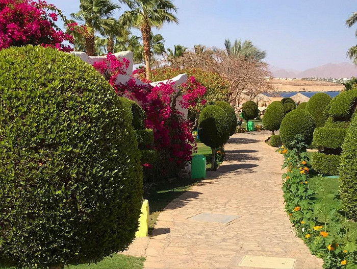 «Веселые египтяне, адекватные туристы»: россиянка делится восторженным отзывом о Шарм-эль-Шейхе