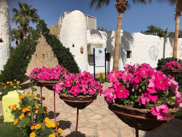 «Веселые египтяне, адекватные туристы»: россиянка делится восторженным отзывом о Шарм-эль-Шейхе