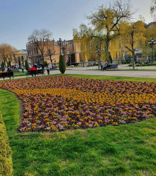 &laquo;Все договоренности &mdash; пустой звук&raquo;: противоречивый отзыв об отдыхе в Ставрополье