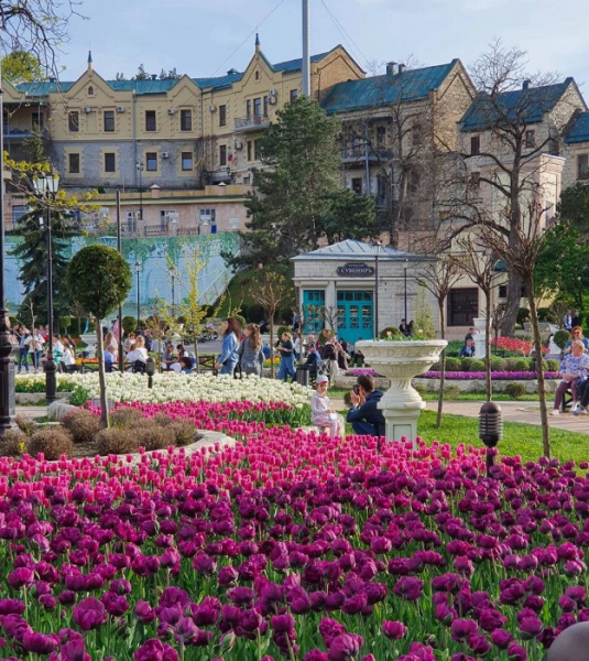 &laquo;Все договоренности &mdash; пустой звук&raquo;: противоречивый отзыв об отдыхе в Ставрополье