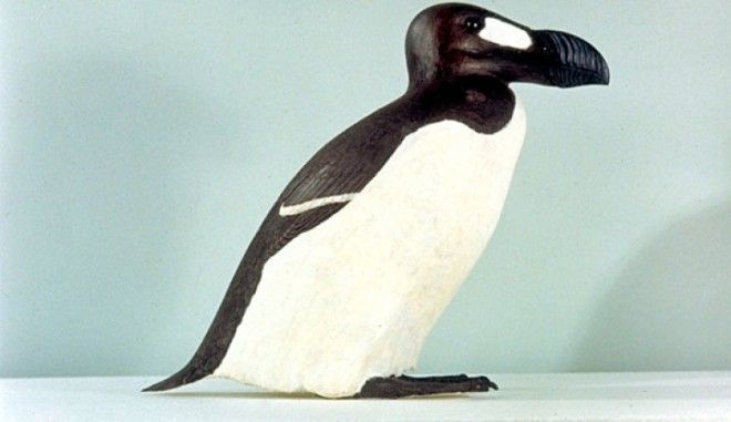 Животные, которых больше не существует по вине человека