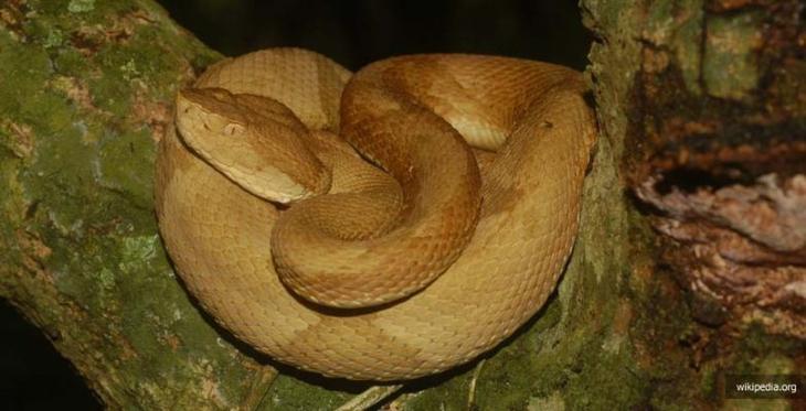 11 уникальных островов планеты, о которых вы, возможно, не знали