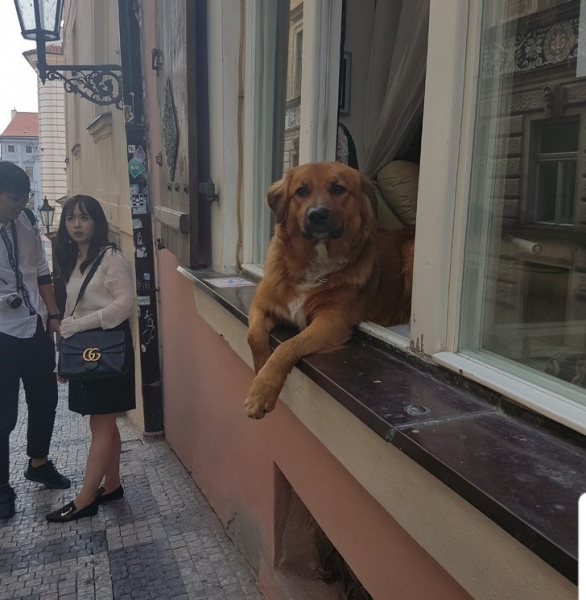 14 национальных особенностей чешского менталитета, которые поразили приезжих