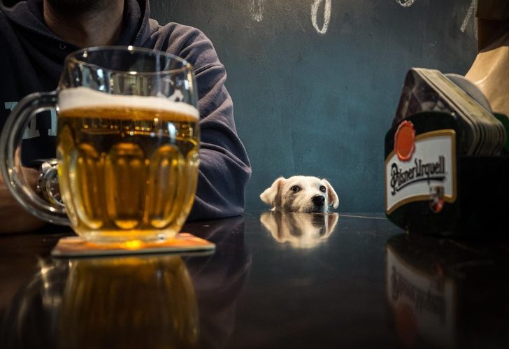 14 национальных особенностей чешского менталитета, которые поразили приезжих