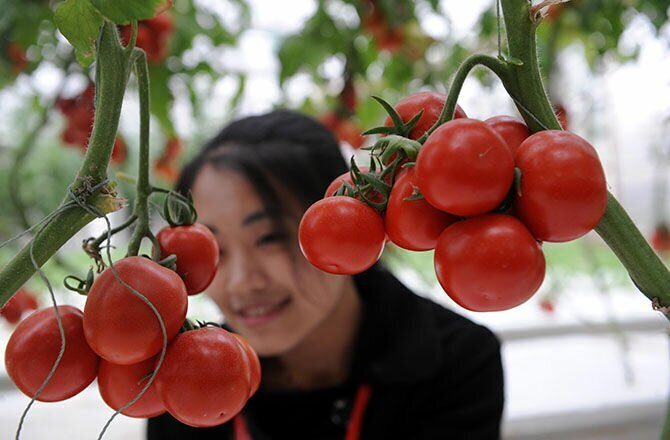 15 удивительных фактов о непостижимом Китае