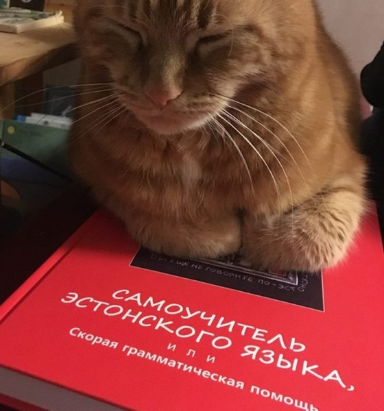 15 занимательных фактов об Эстонии и эстонцах