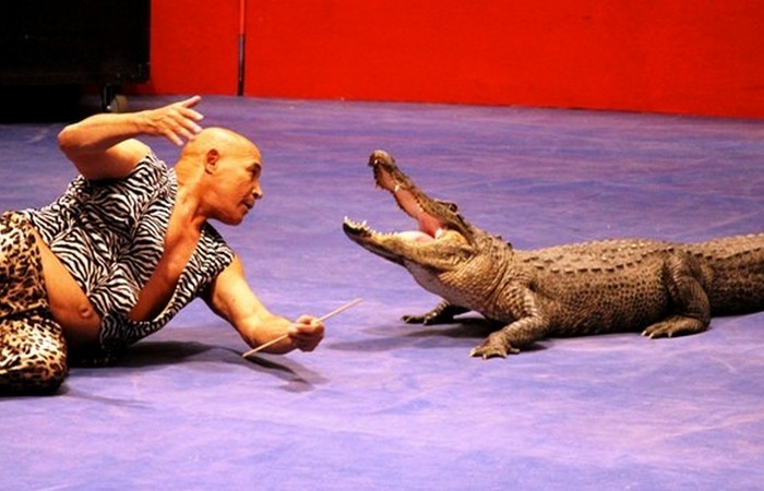 25 самых худших в мире вакансий, после которых любая работа покажется праздником