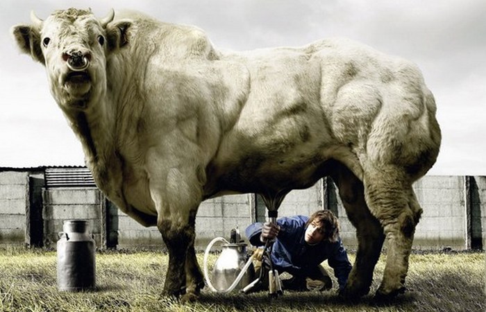 25 самых худших в мире вакансий, после которых любая работа покажется праздником