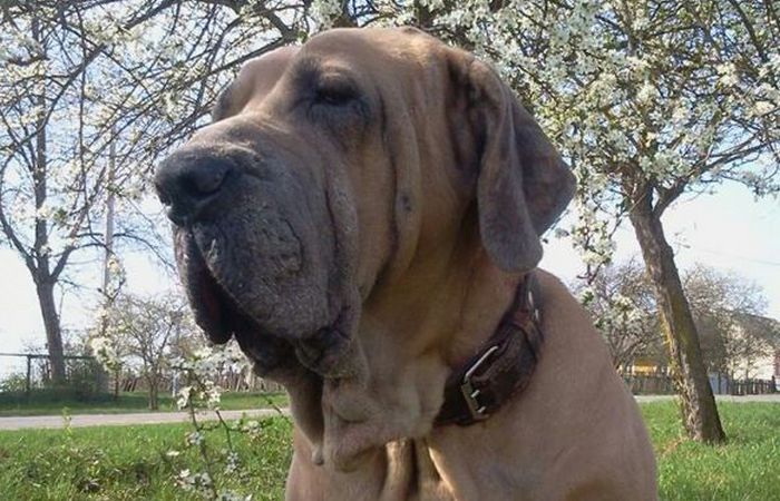 25 самых худших в мире вакансий, после которых любая работа покажется праздником