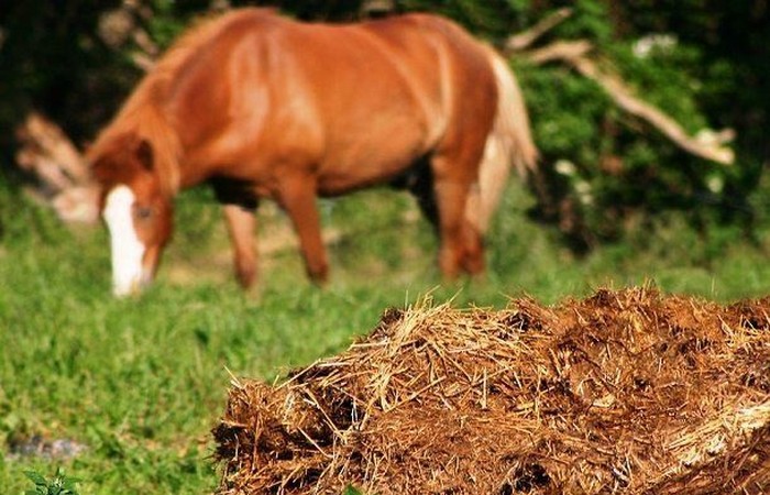 25 самых худших в мире вакансий, после которых любая работа покажется праздником