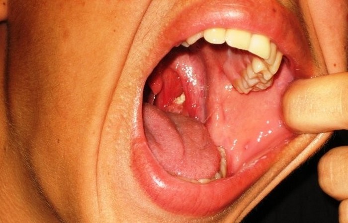 25 самых худших в мире вакансий, после которых любая работа покажется праздником