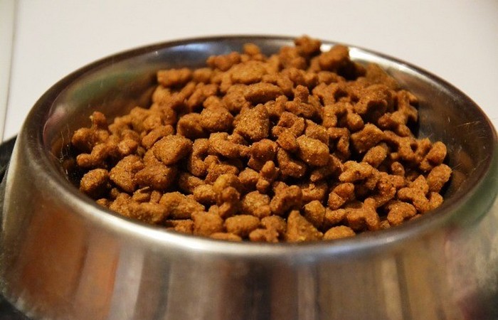 25 самых худших в мире вакансий, после которых любая работа покажется праздником