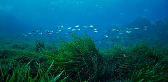 25 самых интересных вещей, о которых не рассказывают на школьных уроках в наши дни