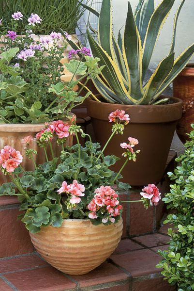 40 замечательных идей, как обустроить маленький сад на участке