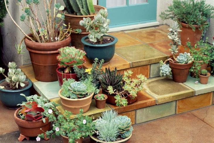 40 замечательных идей, как обустроить маленький сад на участке