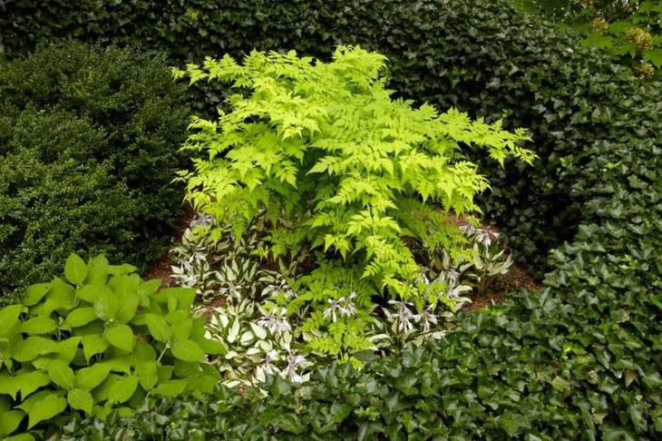 40 замечательных идей, как обустроить маленький сад на участке