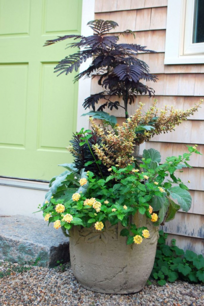 40 замечательных идей, как обустроить маленький сад на участке