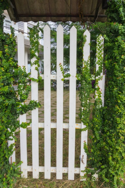 40 замечательных идей, как обустроить маленький сад на участке