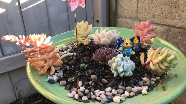 40 замечательных идей, как обустроить маленький сад на участке