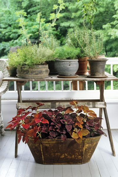 40 замечательных идей, как обустроить маленький сад на участке