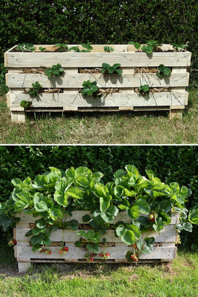 40 замечательных идей, как обустроить маленький сад на участке