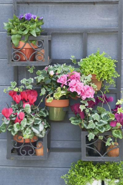 40 замечательных идей, как обустроить маленький сад на участке