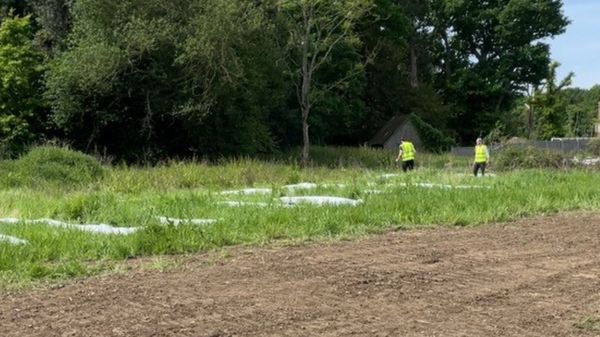 Шутливая надпись на подлете к лондонскому аэропорту вызвала панику у пассажиров