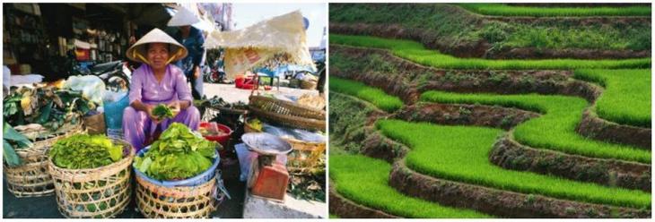 8 потрясающих стран, жить в которых дешевле, чем в России