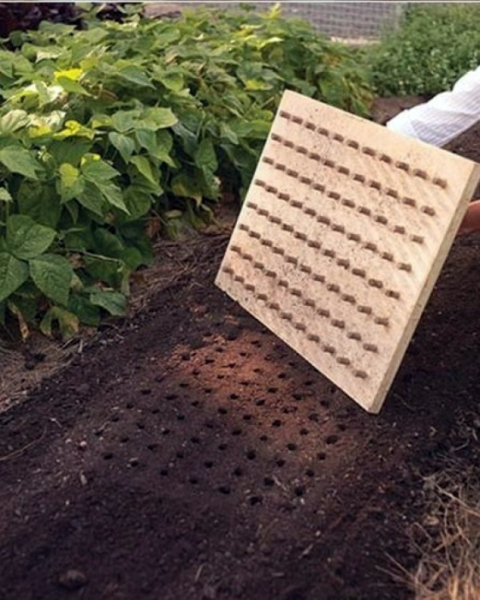 Бюджетные идеи по обустройству дачного участка