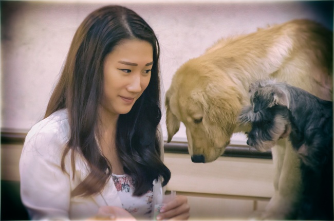 Факты, которые доказывают, что Южная Корея находится за пределами нашего понимания