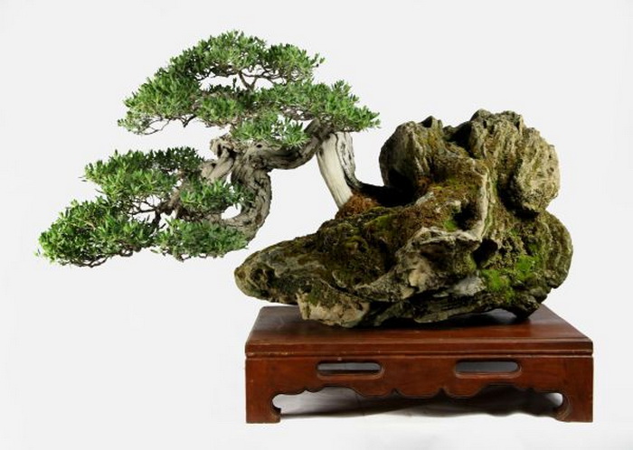 Искусство суйсеки, или Как Восток научил мир любоваться камнями