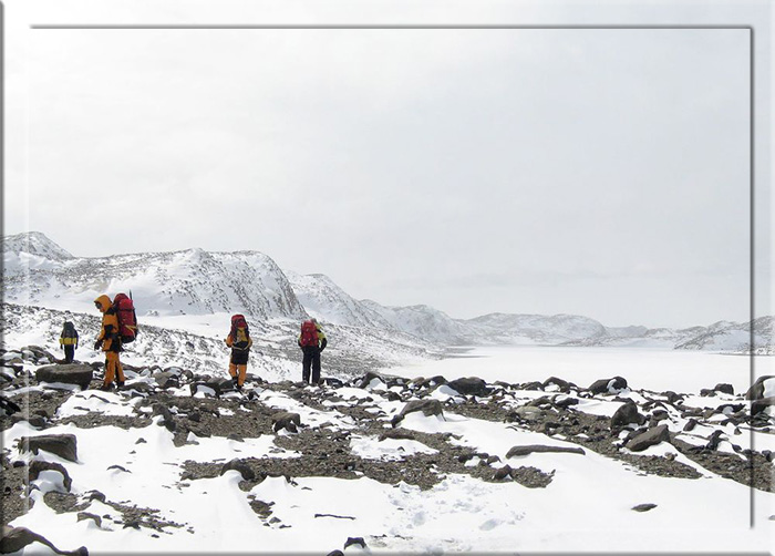 Как выглядят оазисы Антарктиды - островки «тропиков» в стране вечных льдов
