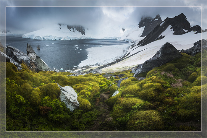 Как выглядят оазисы Антарктиды - островки «тропиков» в стране вечных льдов