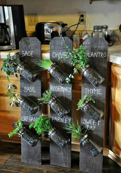 Невероятные идеи для создания мини-сада в домашних условиях