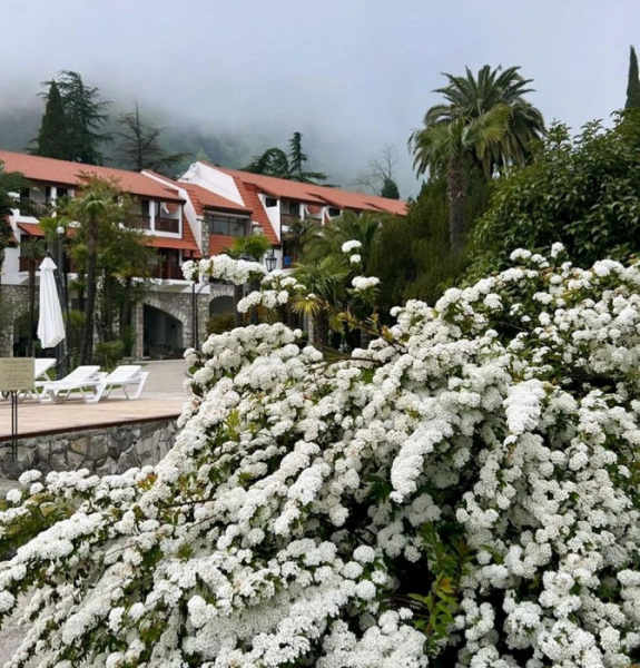 «Пахать и пахать над культурой общения, инфраструктурой и сервисом»: разгромный отзыв об Абхазии