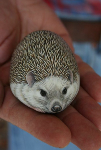 Рисование на камнях или роспись садовых камней