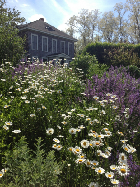 Сад своими руками: 80 интересных идей для дачи