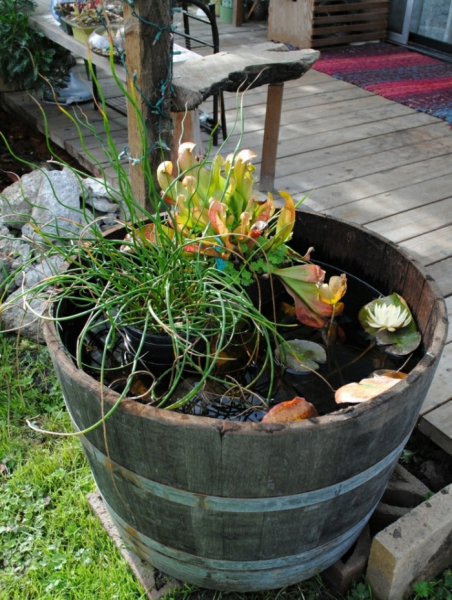 Сад своими руками: 80 интересных идей для дачи