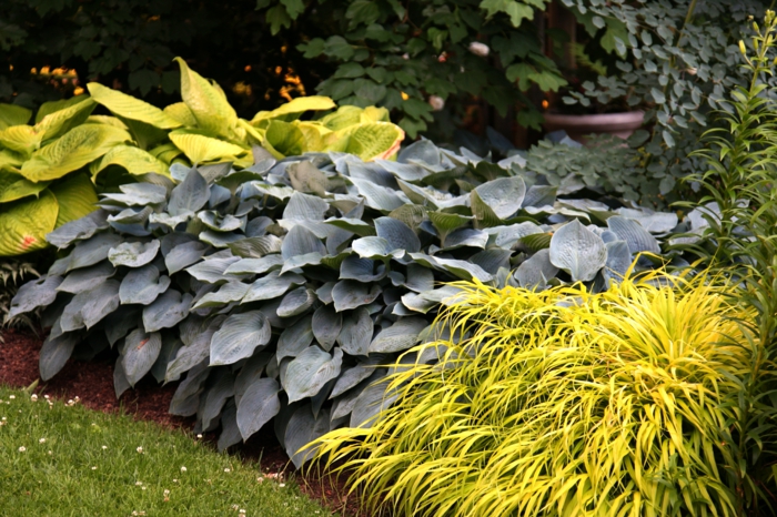 Сад своими руками: 80 интересных идей для дачи