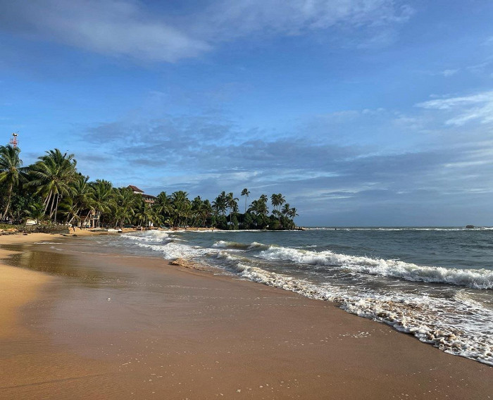 «Сейчас очень выгодно лететь именно сюда»: отзыв об отдыхе на Шри-Ланке