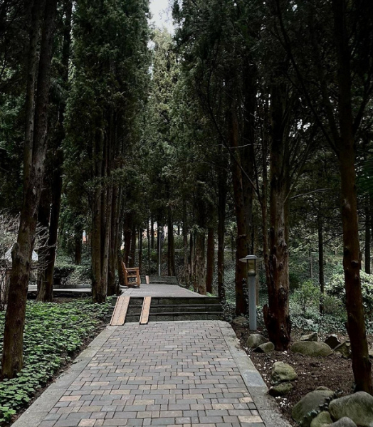 &laquo;В Крым еще вернемся однозначно не раз&raquo;: туристка делится отзывом об отдыхе в Алуште