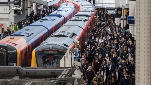 ВОЗ: оспа обезьян тревожит врачей, но Covid-19 намного опаснее, даже после вакцинации
