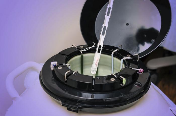 10 отличительных черт голландцев, которые приводят русских в недоумение