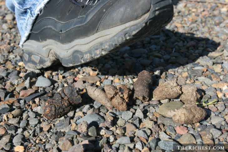 12 занятных суеверий со всего мира