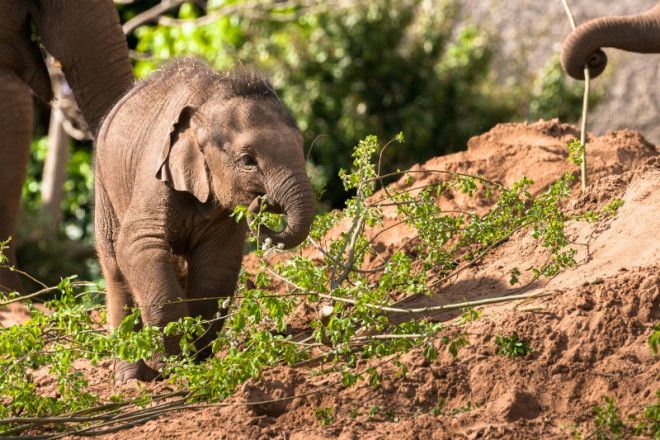 15 небанальных мест за пределами Лондона