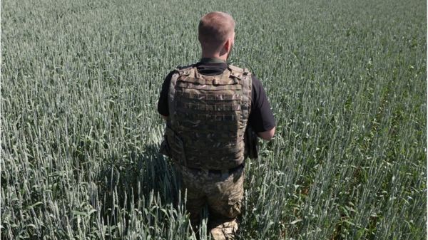 "Было украинское, стало русское". Кто и как вывозит из Украины зерно
