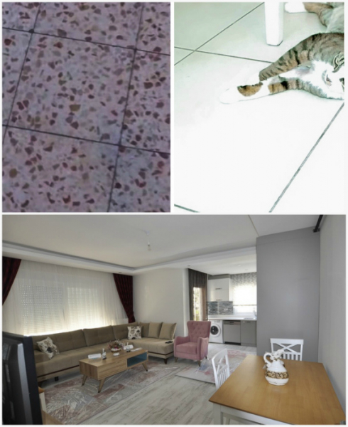 9 особенностей жизни и быта в Израиле, которые нам могут показаться странными